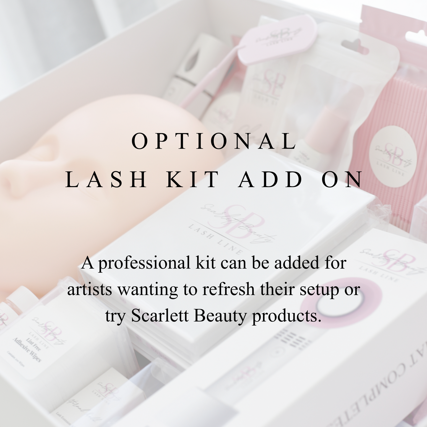 Lash Mentorship- 1:1 Guidance