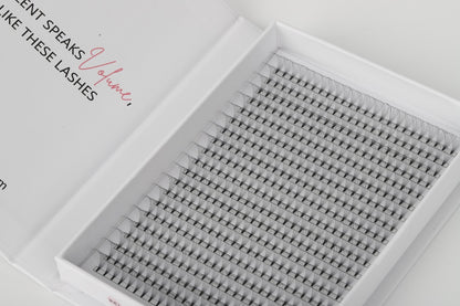 Scarlett Beauty 10D premade lash extension XL Trays ultra soft cashmere, Korean PBT fibre lashes for professional lash artists.