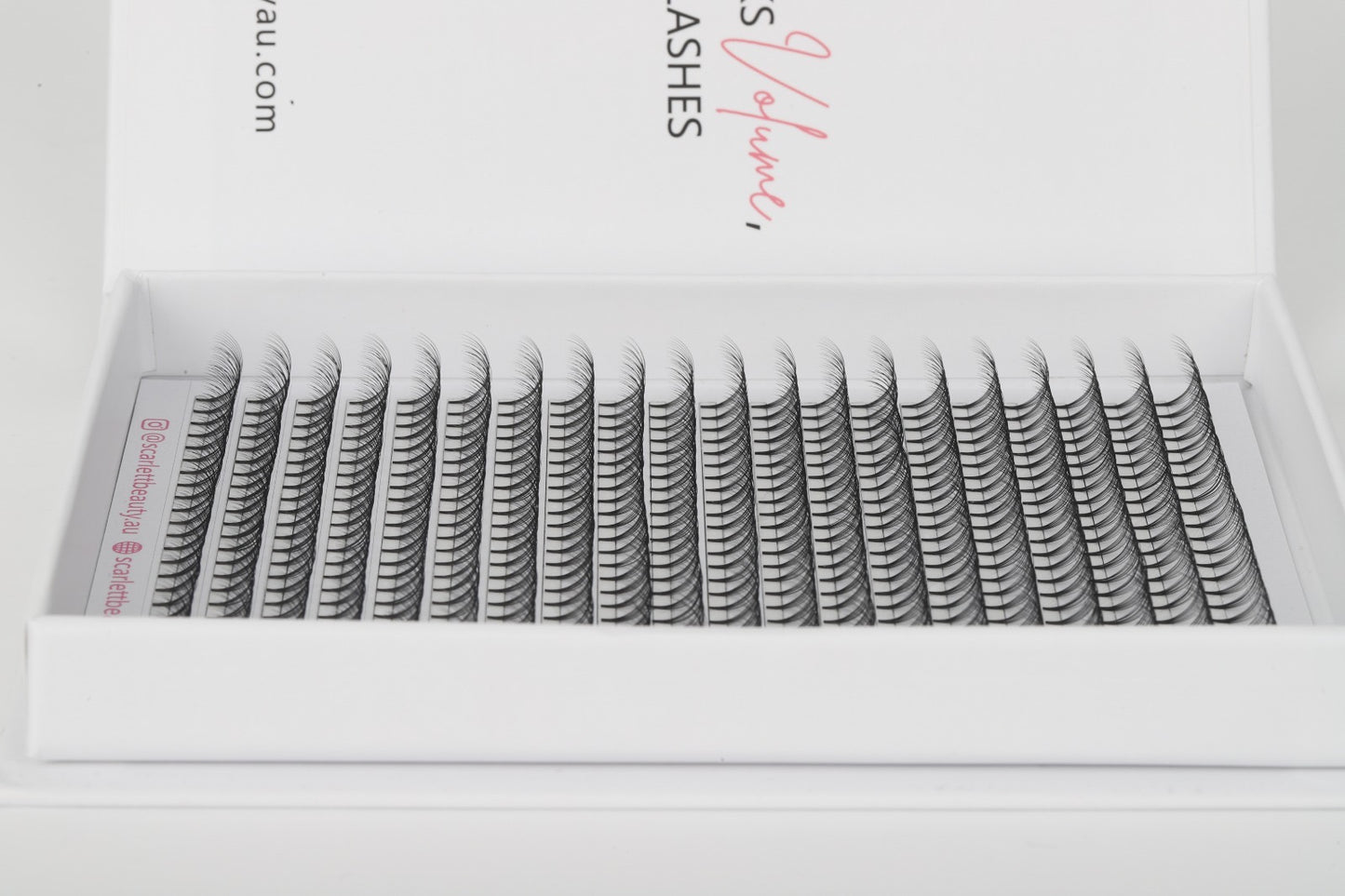 Scarlett Beauty 10D premade lash extension XL Trays ultra soft cashmere, Korean PBT fibre lashes for professional lash artists.