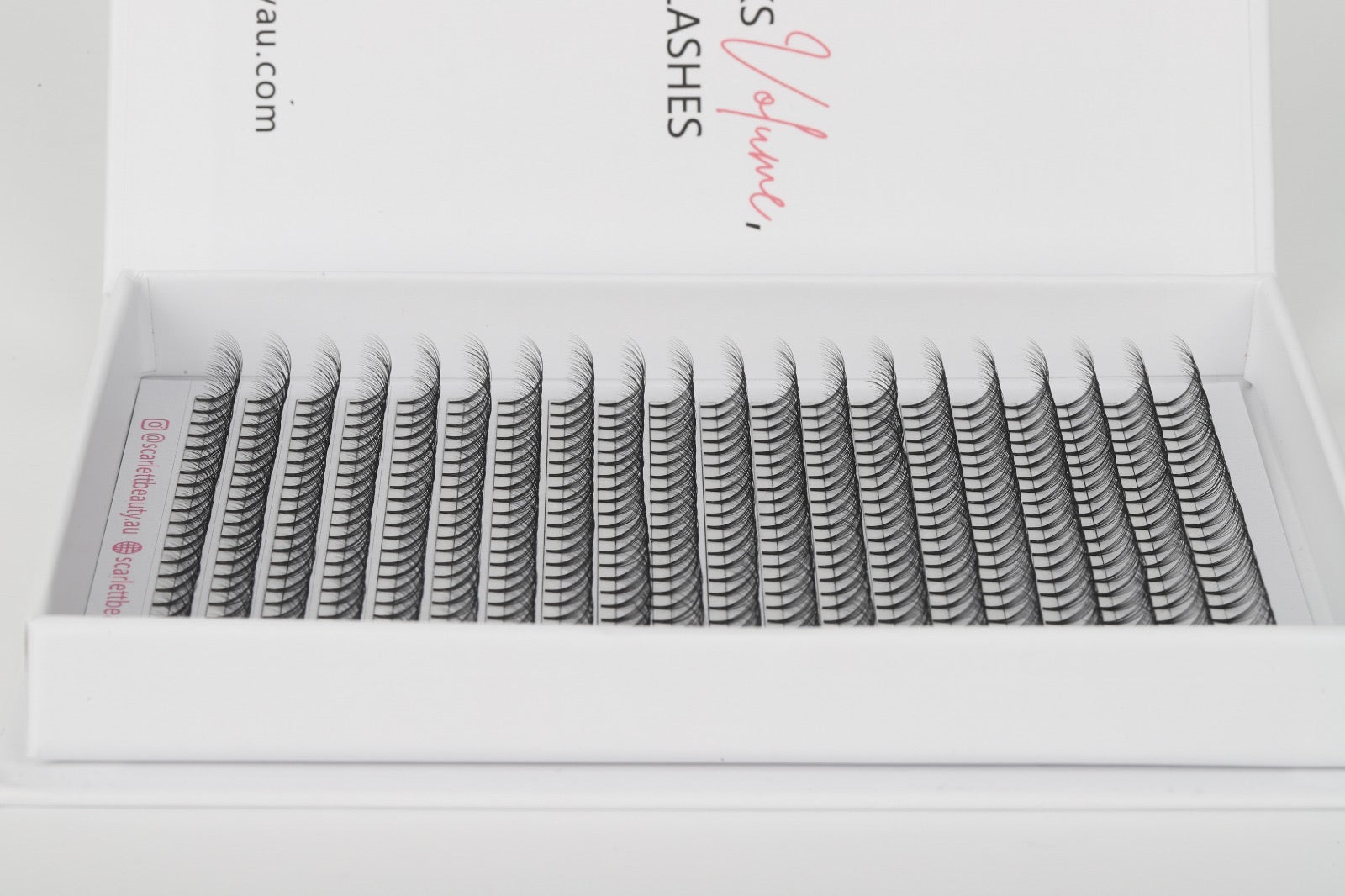 Scarlett Beauty 10D premade lash extension XL Trays ultra soft cashmere, Korean PBT fibre lashes for professional lash artists.