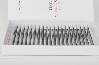 Scarlett Beauty 10D premade lash extension XL Trays ultra soft cashmere, Korean PBT fibre lashes for professional lash artists.