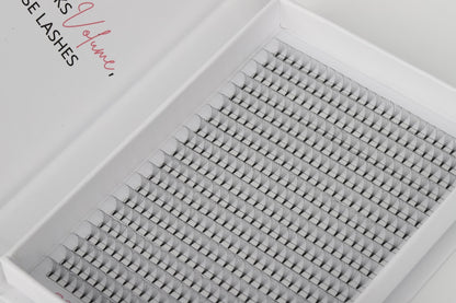 Scarlett Beauty 10D premade lash extension XL Trays ultra soft cashmere, Korean PBT fibre lashes for professional lash artists.