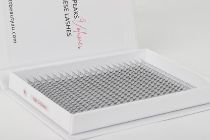 Scarlett Beauty 4D premade lash extension XL Trays ultra soft cashmere, Korean PBT fibre lashes for professional lash artists.