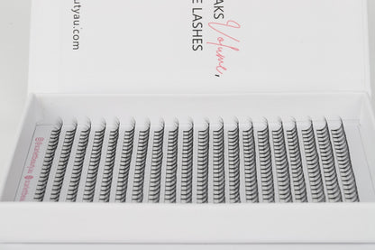 Scarlett Beauty 6D premade lash extension XL Trays ultra soft cashmere, Korean PBT fibre lashes for professional lash artists.