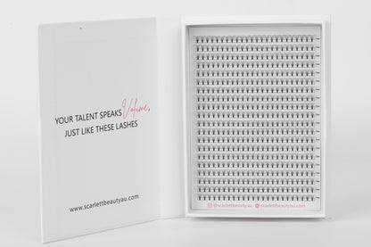 Scarlett Beauty 10D premade lash extension XL Trays ultra soft cashmere, Korean PBT fibre lashes for professional lash artists.