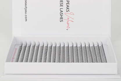 Scarlett Beauty 4D premade lash extension XL Trays ultra soft cashmere, Korean PBT fibre lashes for professional lash artists.
