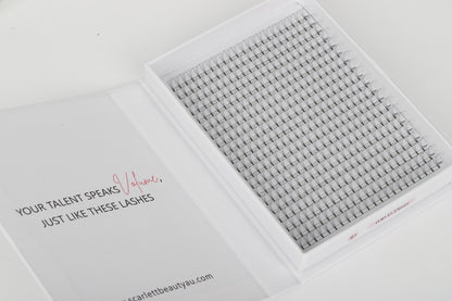 Scarlett Beauty 4D premade lash extension XL Trays ultra soft cashmere, Korean PBT fibre lashes for professional lash artists.